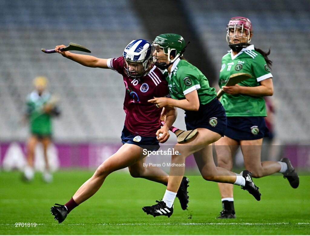 17 December 2023; Asha McHardy of Dicksboro in action against Tara Kenny of Sarsfields during the AIB Camogie All-Ireland Senior Club Championship final match between Dicksboro of Kilkenny and Sarsfields of Galway at Croke Park in Dublin. Photo by Piaras Ó Mídheach/Sportsfile