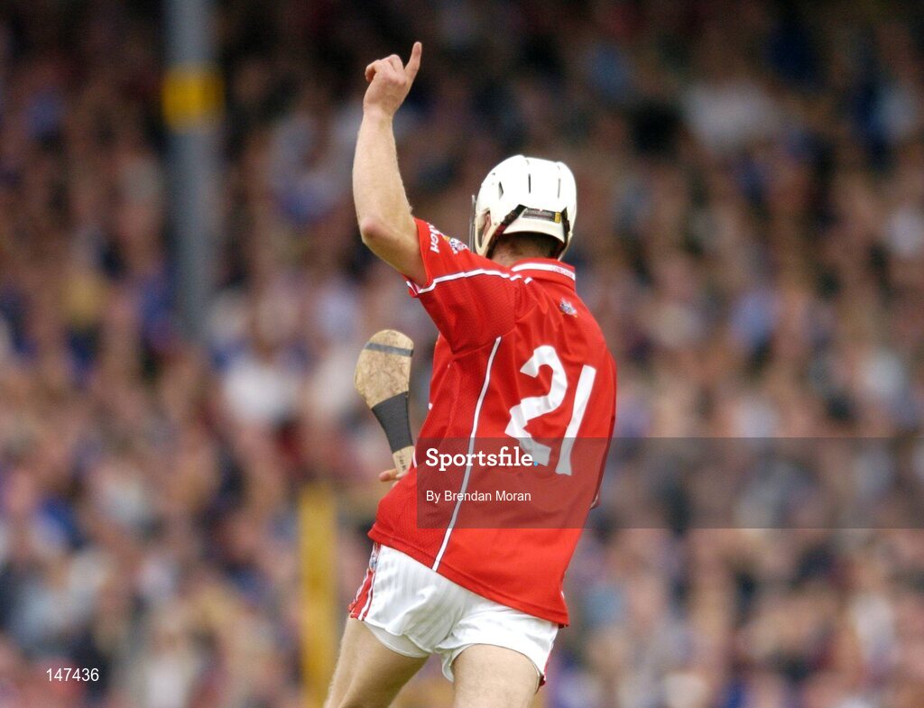 10 July 2004; Timmy McCarthy, Cork, celebrates scoring his sides first goal against Tipperary. Guinness Senior Hurling Championship Qualifier, Round 3, Cork v Tipperary, Fitzgerald Stadium, Killarney, Co. Kerry. Picture credit; Brendan Moran / SPORTSFILE