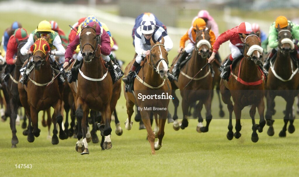 26 June 2004; A General View of Jordan Town & Country Estate Agents Handicap. Curragh Racecourse, Co. Kildare. Picture credit; Matt Browne / SPORTSFILE