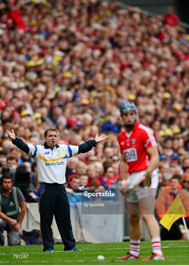 8 September 2013; Clare manager Davy Fitzgerald. GAA Hurling All-Ireland Senior Championship Final, Cork v Clare, Croke Park, Dublin. Photo by Sportsfile