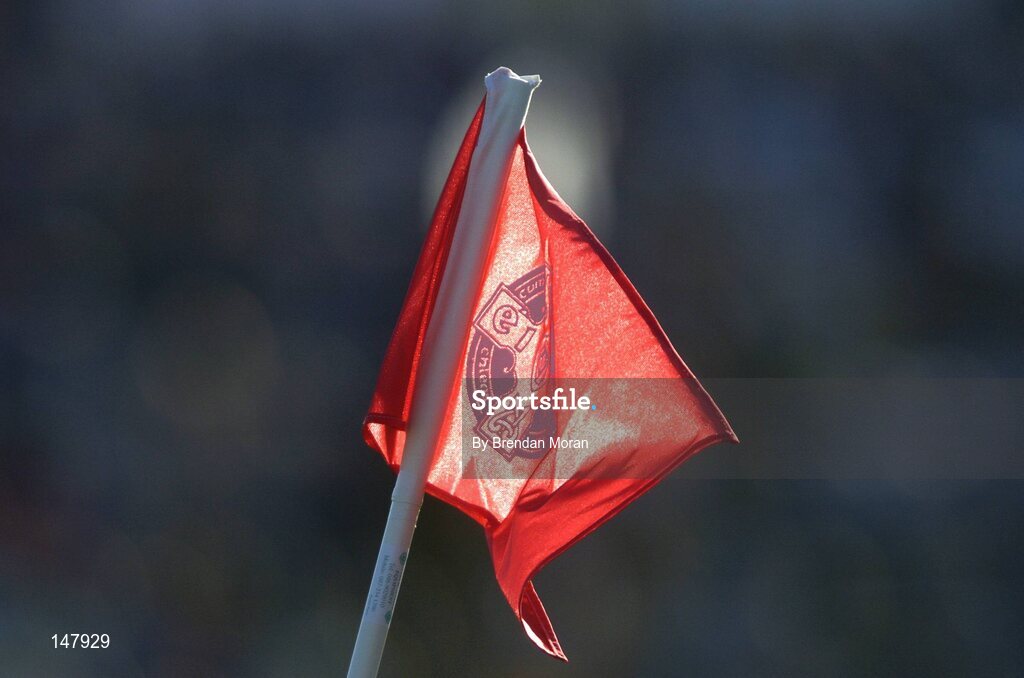 17 July 2004; A flag which marks the 21 yard line and the sideline on a hurling pitch. Guinness Senior Hurling Championship Qualifier, Round 3, Clare v Offaly, Gaelic Grounds, Limerick. Picture credit; Brendan Moran / SPORTSFILE
