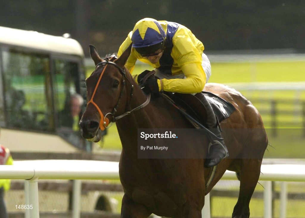 27 July 2004; The Posh Paddy, with Ruby Walsh up, races clear of the field on their way to winning the Albatros Feeds Maiden Hurdle. Galway Races, Ballybrit, Co. Galway. Picture credit; Pat Murphy / SPORTSFILE