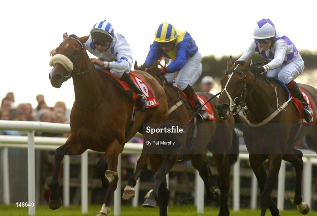 27 July 2004; Palace Star, with Rory Cleary up, races clear of Amourallis, Peter Beggy, right, and Calorando, Timmy O'Shea, centre, on their way to winning the McDonagh EBF Handicap. Galway Races, Ballybrit, Co. Galway. Picture credit; Pat Murphy / SPORTSFILE