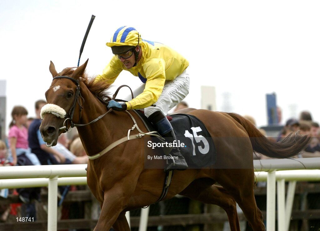 28 July 2004; Burren Moonshine, 15, with Robert Power up, pictured after winning the HP Imaging & Digital Printing Handicap Hurdle. Galway Races, Ballybrit, Co. Galway. Picture credit; Matt Browne / SPORTSFILE