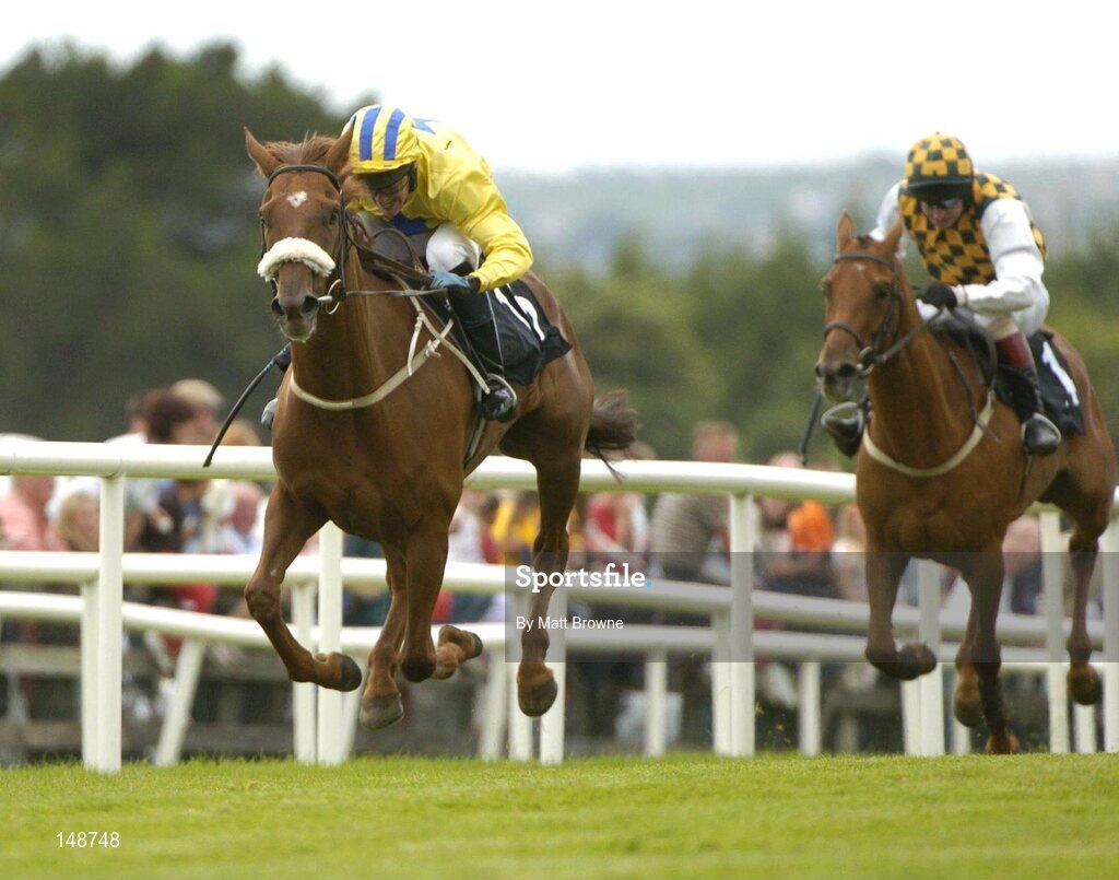 28 July 2004; Burren Moonshine, 15, with Robert Power up, on the way to winning the HP Imaging & Digital Printing Handicap Hurdle from Allaboveboard with Tom Treacy. Galway Races, Ballybrit, Co. Galway. Picture credit; Matt Browne / SPORTSFILE