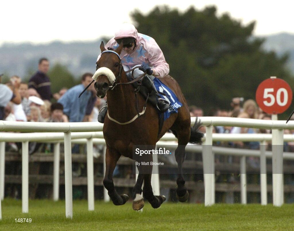 28 July 2004; Ansar, with David Casey up, on the way to winning the Hewlett-Packard Galway Plate. Galway Races, Ballybrit, Co. Galway. Picture credit; Matt Browne / SPORTSFILE