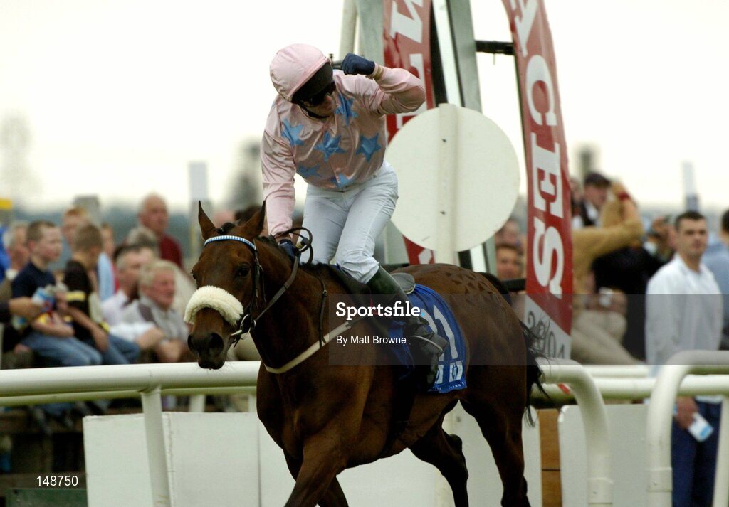28 July 2004; David Casey celebrates after winning the Hewlett-Packard Galway Plate on Ansar. Galway Races, Ballybrit, Co. Galway. Picture credit; Matt Browne / SPORTSFILE