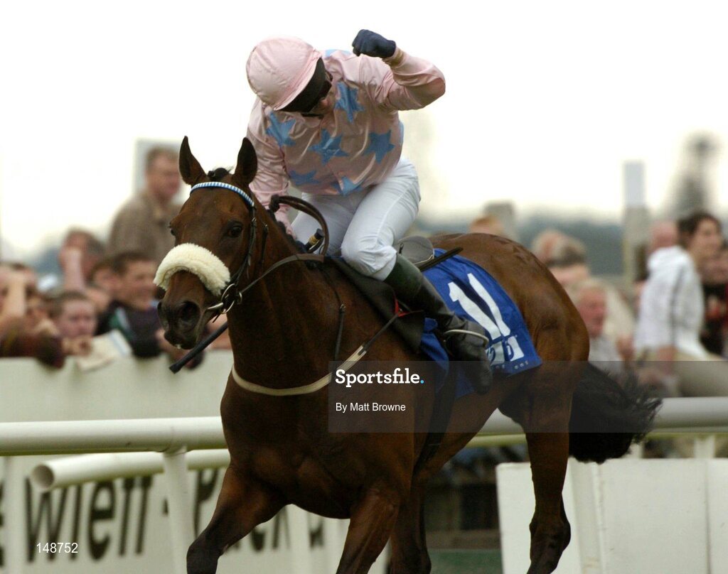 28 July 2004; David Casey celebrates after winning the Hewlett-Packard Galway Plate on Ansar. Galway Races, Ballybrit, Co. Galway. Picture credit; Matt Browne / SPORTSFILE