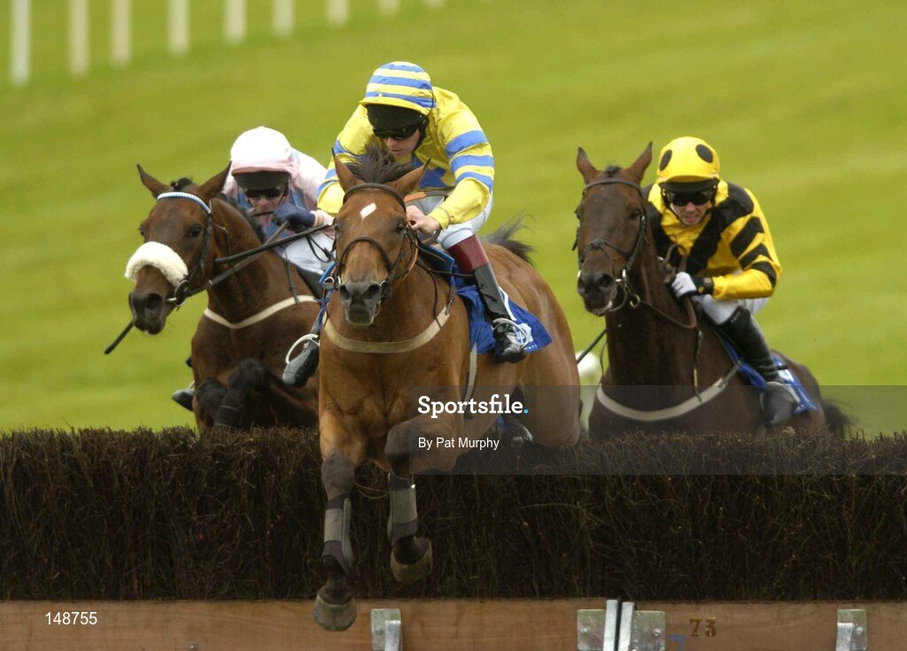 28 July 2004; Price Of Pleasure, with Barry Cash up, centre, leads the eventual winner Ansar, David Casey up, ahead of Wests Awake, Graham Lee, right, over the last during the Hewlett-Packard Galway Plate. Galway Races, Ballybrit, Co. Galway. Picture credit; Pat Murphy / SPORTSFILE