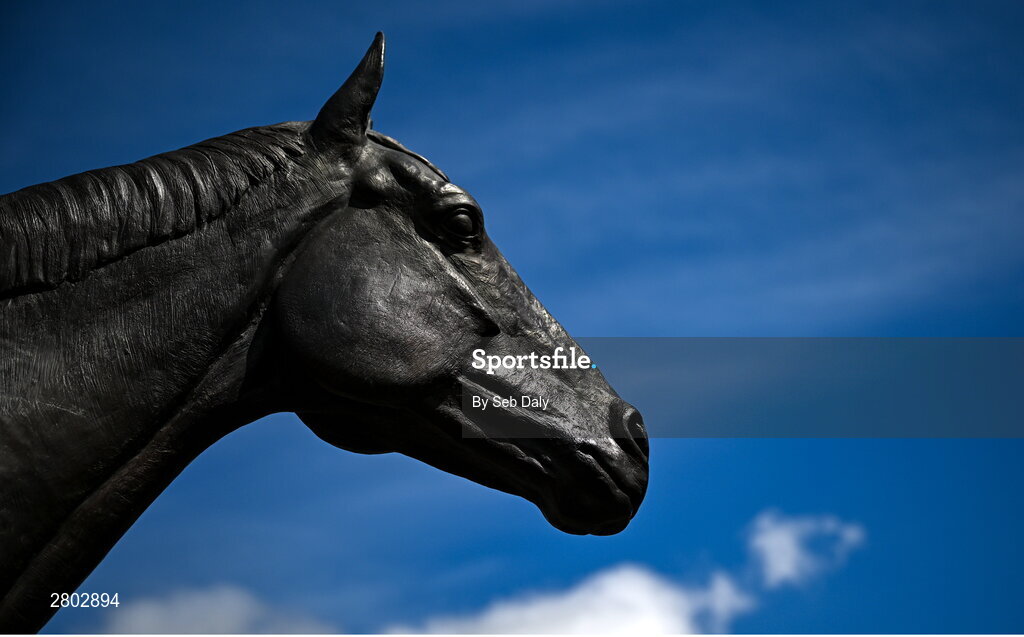 1 May 2024; A statue of Sizing John, winner of the 2017 Punchestown Gold Cup, ahead of racing on day two of the Punchestown Festival at Punchestown Racecourse in Kildare. Photo by Seb Daly/Sportsfile