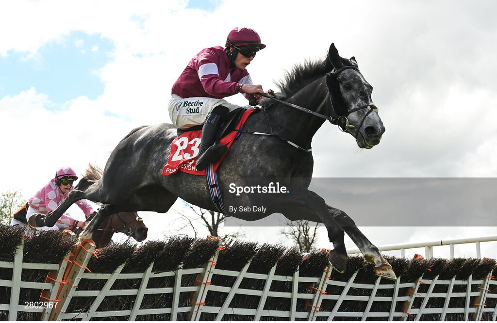 1 May 2024; Harsh, with Danny Gilligan up, jumps the last on their way to winning the Adare Manor Opportunity Series Final Handicap Hurdle during day two of the Punchestown Festival at Punchestown Racecourse in Kildare. Photo by Seb Daly/Sportsfile