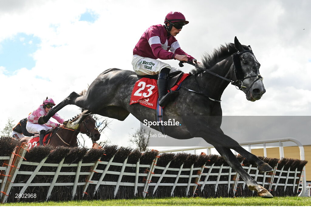 1 May 2024; Harsh, with Danny Gilligan up, jumps the last on their way to winning the Adare Manor Opportunity Series Final Handicap Hurdle during day two of the Punchestown Festival at Punchestown Racecourse in Kildare. Photo by Seb Daly/Sportsfile