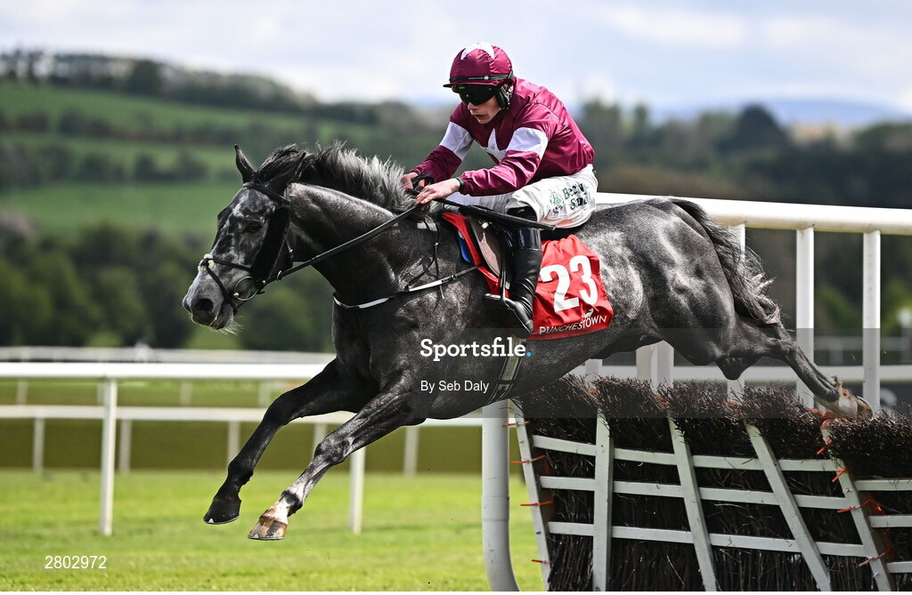 1 May 2024; Harsh, with Danny Gilligan up, jumps the last on their way to winning the Adare Manor Opportunity Series Final Handicap Hurdle during day two of the Punchestown Festival at Punchestown Racecourse in Kildare. Photo by Seb Daly/Sportsfile