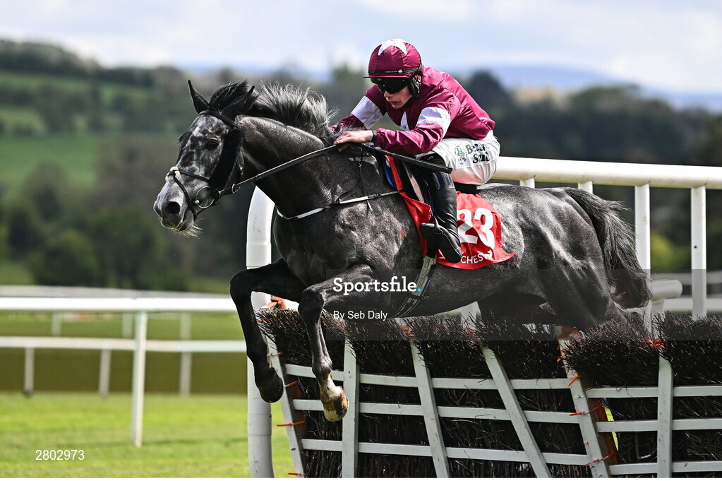 1 May 2024; Harsh, with Danny Gilligan up, jumps the last on their way to winning the Adare Manor Opportunity Series Final Handicap Hurdle during day two of the Punchestown Festival at Punchestown Racecourse in Kildare. Photo by Seb Daly/Sportsfile