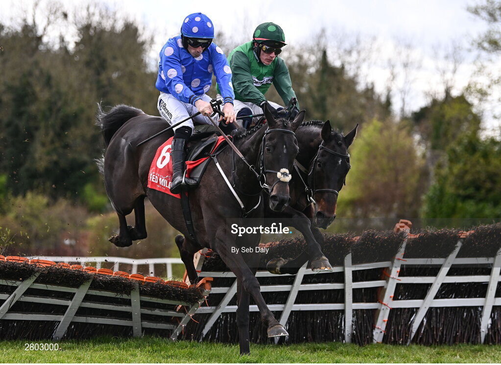 1 May 2024; Backtonormal, left, with Sean Flanagan up, jumps the last on their way to winning the Connolly's RED MILLS Irish EBF Auction Hurdle Series Final, from eventual fourth place Blizzard Of Oz, right, with Paul Townend up, during day two of the Punchestown Festival at Punchestown Racecourse in Kildare. Photo by Seb Daly/Sportsfile