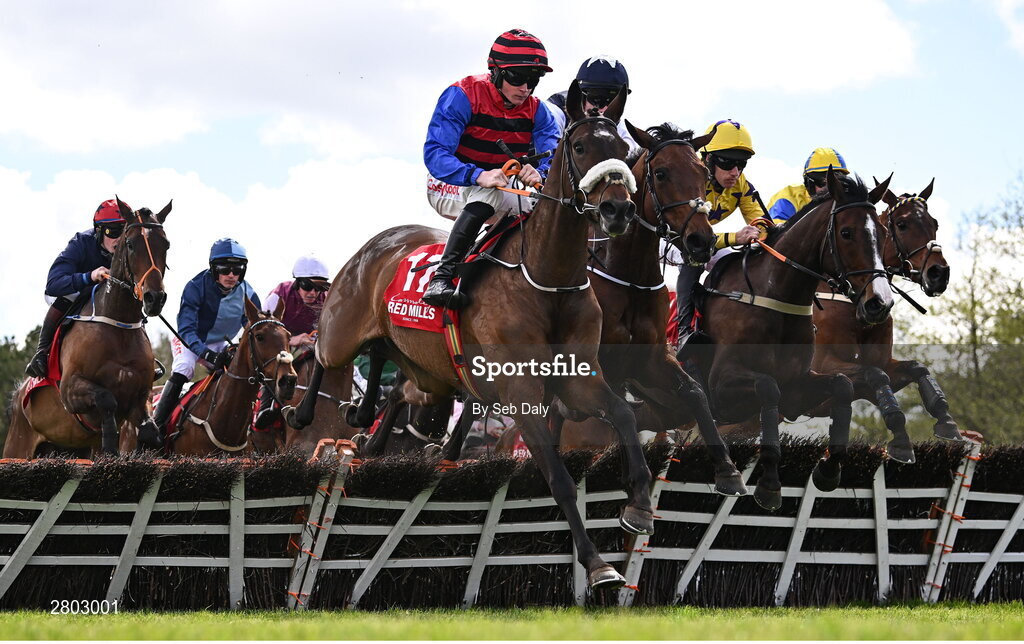 1 May 2024; Our Girl Sal, centre, with Sam Ewing up, leads the field over the first during the Connolly's RED MILLS Irish EBF Auction Hurdle Series Final during day two of the Punchestown Festival at Punchestown Racecourse in Kildare. Photo by Seb Daly/Sportsfile