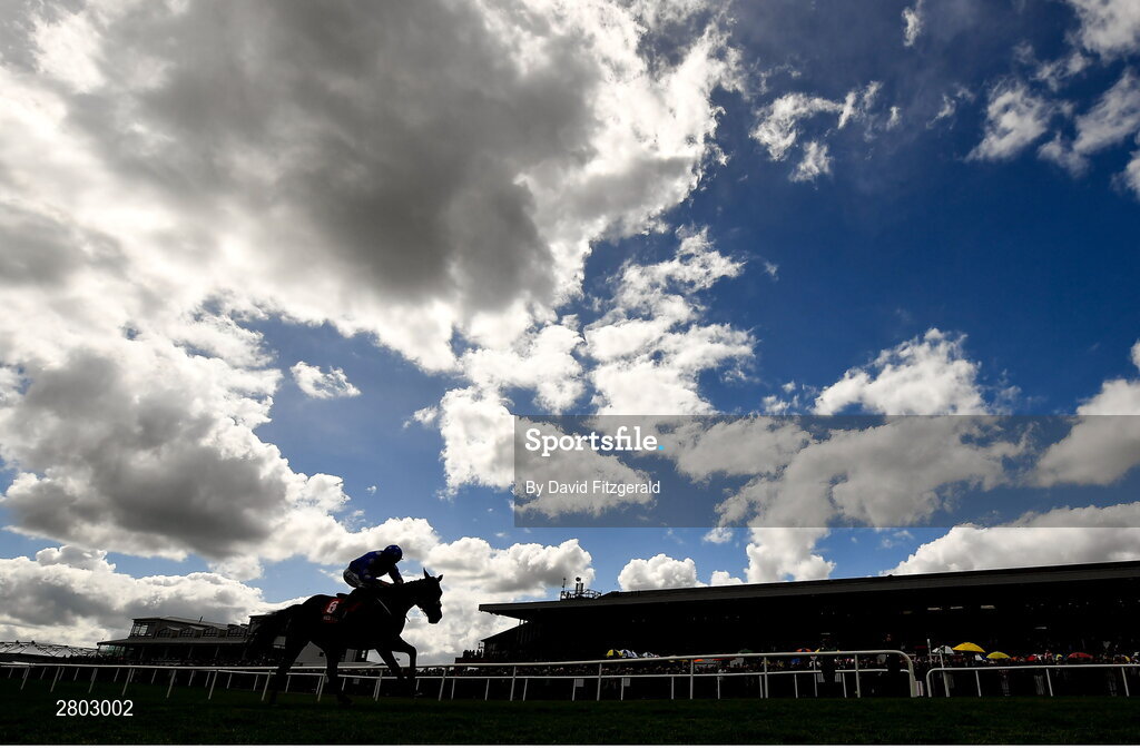 1 May 2024; Backtonormal, with Sean Flanagan up, on their way to winning the Connolly's RED MILLS Irish EBF Auction Hurdle Series Final during day two of the Punchestown Festival at Punchestown Racecourse in Kildare. Photo by David Fitzgerald/Sportsfile