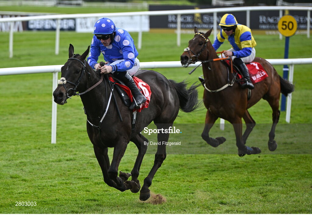 1 May 2024; Backtonormal, with Sean Flanagan up, on their way to winning the Connolly's RED MILLS Irish EBF Auction Hurdle Series Final during day two of the Punchestown Festival at Punchestown Racecourse in Kildare. Photo by David Fitzgerald/Sportsfile