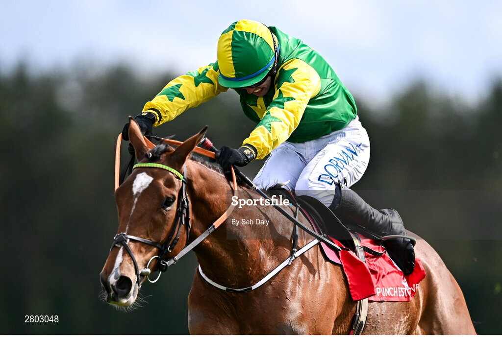 1 May 2024; Gorgeous Tom, with Sean O'Keeffe up, on their way to winning the Louis Fitzgerald Hotel Hurdle during day two of the Punchestown Festival at Punchestown Racecourse in Kildare. Photo by Seb Daly/Sportsfile
