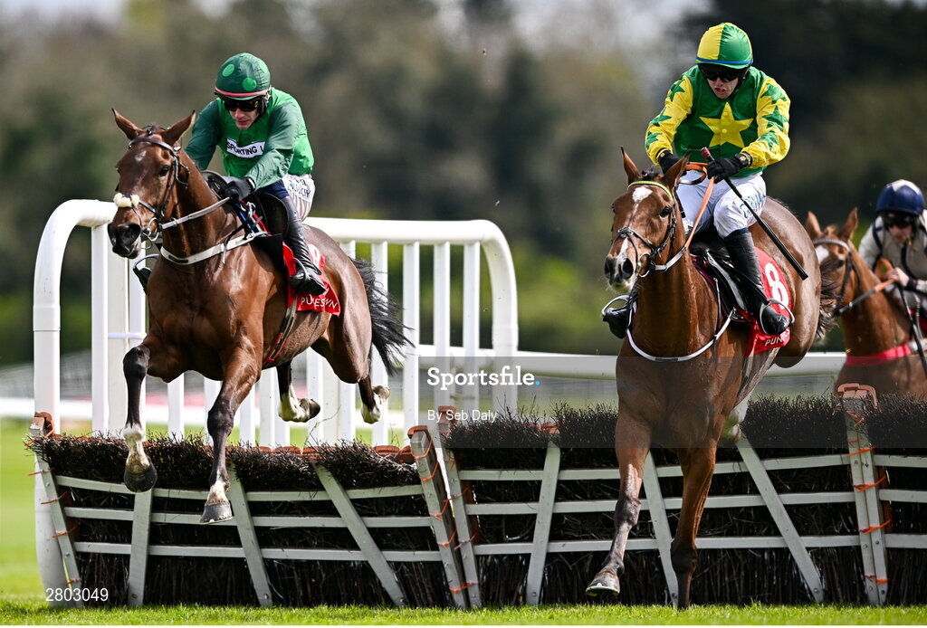 1 May 2024; Gorgeous Tom, right, with Sean O'Keeffe up, jumps the last on their way to winning the Louis Fitzgerald Hotel Hurdle, from eventual second place Mistergif, left, with Paul Townend up, during day two of the Punchestown Festival at Punchestown Racecourse in Kildare. Photo by Seb Daly/Sportsfile