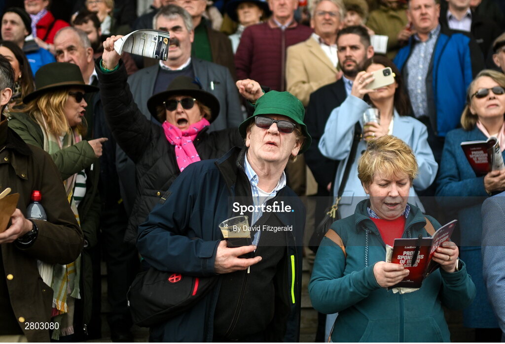 1 May 2024; Racegoers react during the Louis Fitzgerald Hotel Hurdle during day two of the Punchestown Festival at Punchestown Racecourse in Kildare. Photo by David Fitzgerald/Sportsfile