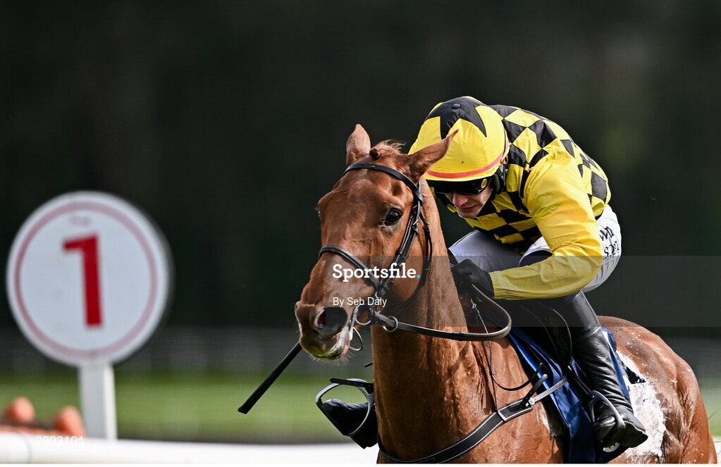 1 May 2024; Dancing City, with Paul Townend up, on their way to winning the Channor Real Estate Group Novice Hurdle during day two of the Punchestown Festival at Punchestown Racecourse in Kildare. Photo by Seb Daly/Sportsfile