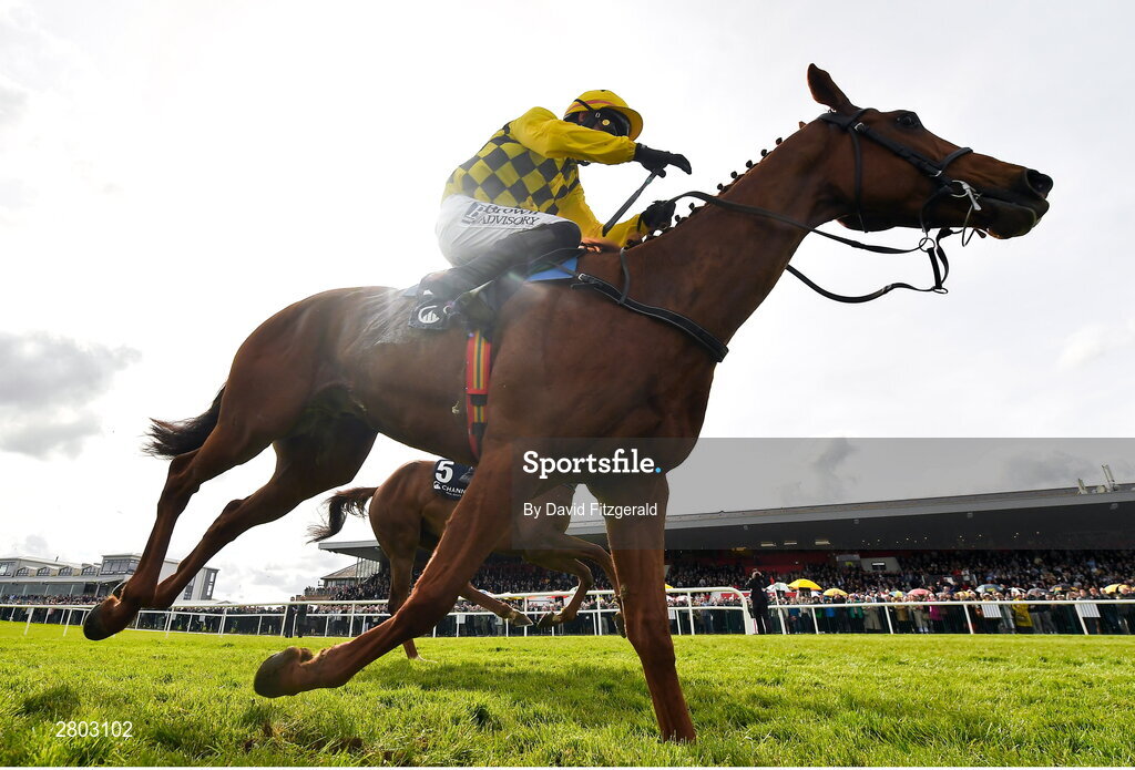 1 May 2024; Dancing City, with Paul Townend up, on their way to winning the Channor Real Estate Group Novice Hurdle during day two of the Punchestown Festival at Punchestown Racecourse in Kildare. Photo by David Fitzgerald/Sportsfile