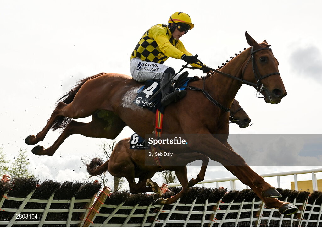 1 May 2024; Dancing City, with Paul Townend up, jumps the last on their way to winning the Channor Real Estate Group Novice Hurdle during day two of the Punchestown Festival at Punchestown Racecourse in Kildare. Photo by Seb Daly/Sportsfile