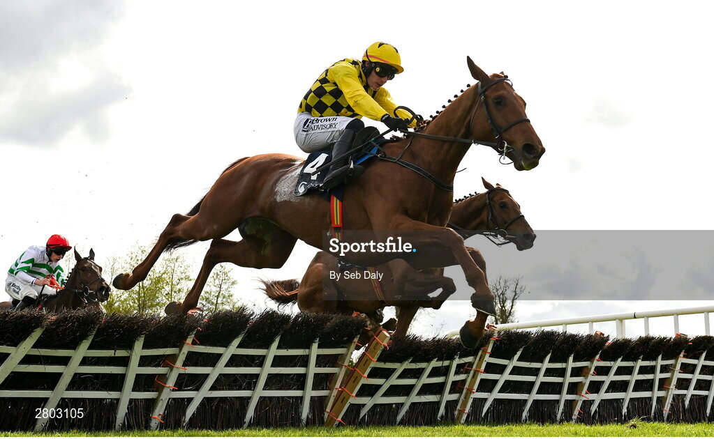 1 May 2024; Dancing City, with Paul Townend up, jumps the last on their way to winning the Channor Real Estate Group Novice Hurdle during day two of the Punchestown Festival at Punchestown Racecourse in Kildare. Photo by Seb Daly/Sportsfile