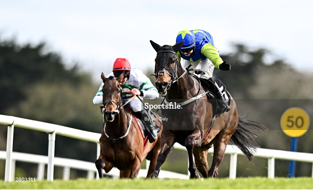 1 May 2024; Redemption Day, with Jodie Townend up, on their way to winning the Race and Stay At Punchestown Champion INH Flat Race during day two of the Punchestown Festival at Punchestown Racecourse in Kildare. Photo by Seb Daly/Sportsfile