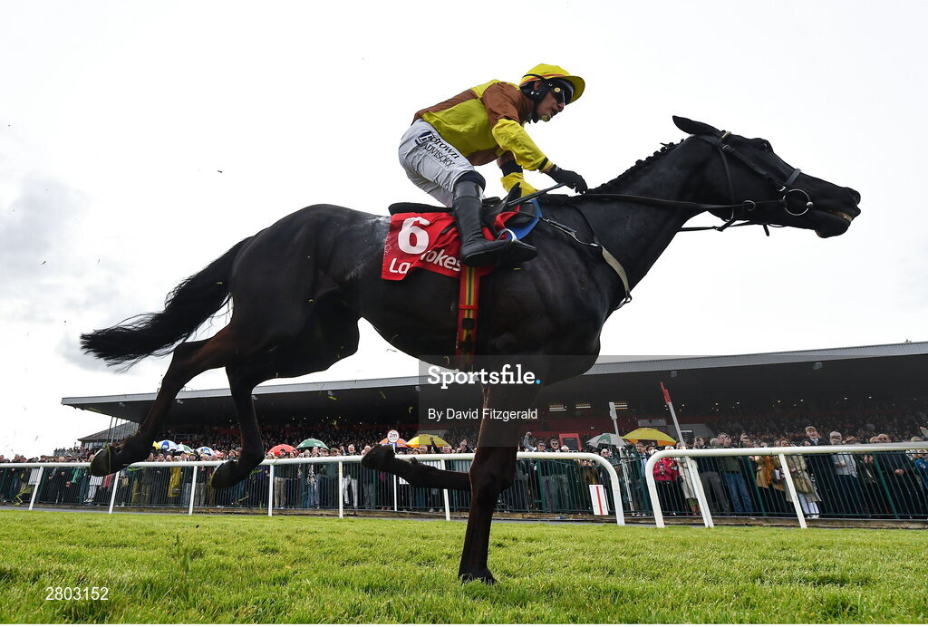 1 May 2024; Galopin Des Champs, with Paul Townend up, on their way to finishing second in the Ladbrokes Punchestown Gold Cup during day two of the Punchestown Festival at Punchestown Racecourse in Kildare. Photo by David Fitzgerald/Sportsfile