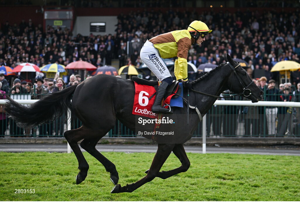 1 May 2024; Galopin Des Champs, with Paul Townend up, on their way to finishing second in the Ladbrokes Punchestown Gold Cup during day two of the Punchestown Festival at Punchestown Racecourse in Kildare. Photo by David Fitzgerald/Sportsfile