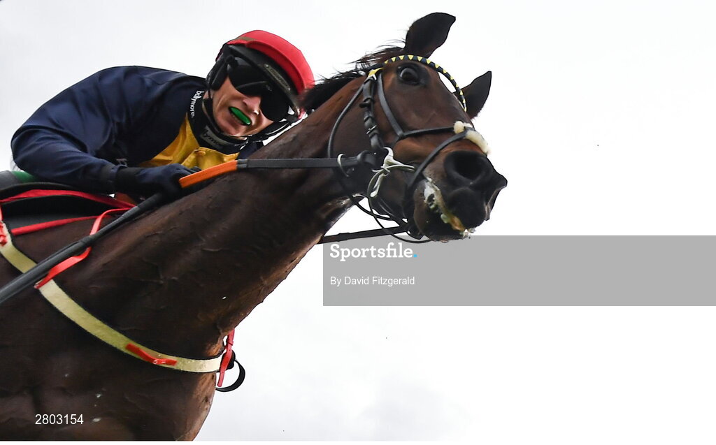 1 May 2024; Fastorslow, with JJ Slevin up, crosses the line to win the Ladbrokes Punchestown Gold Cup during day two of the Punchestown Festival at Punchestown Racecourse in Kildare. Photo by David Fitzgerald/Sportsfile