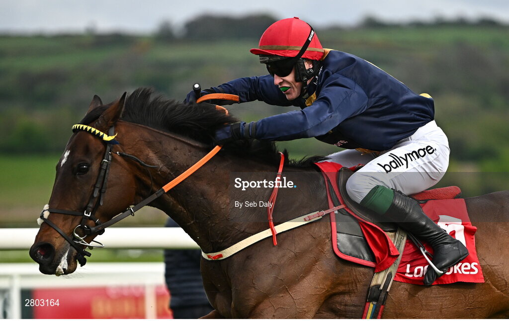 1 May 2024; Fastorslow, with JJ Slevin up, on their way to winning the Ladbrokes Punchestown Gold Cup during day two of the Punchestown Festival at Punchestown Racecourse in Kildare. Photo by Seb Daly/Sportsfile