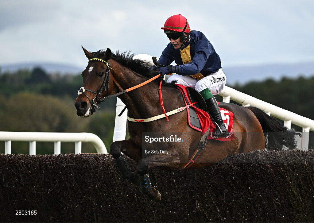 1 May 2024; Fastorslow, with JJ Slevin up, jumps the last on their way to winning the Ladbrokes Punchestown Gold Cup during day two of the Punchestown Festival at Punchestown Racecourse in Kildare. Photo by Seb Daly/Sportsfile
