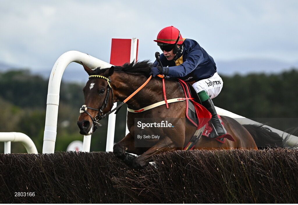 1 May 2024; Fastorslow, with JJ Slevin up, jumps the last on their way to winning the Ladbrokes Punchestown Gold Cup during day two of the Punchestown Festival at Punchestown Racecourse in Kildare. Photo by Seb Daly/Sportsfile