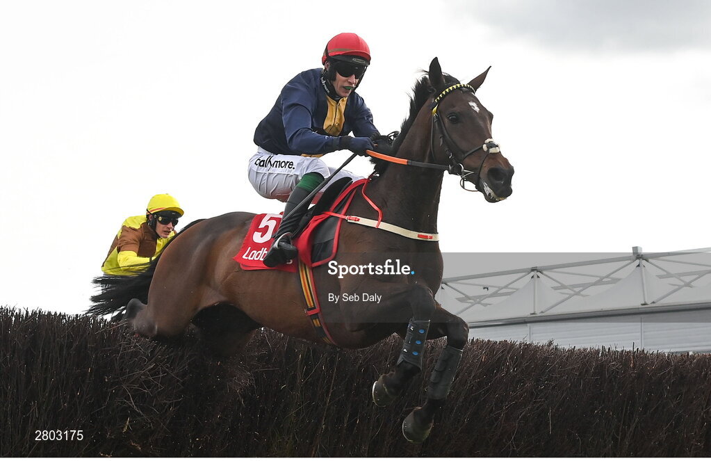 1 May 2024; Fastorslow, with JJ Slevin up, jumps the last on their way to winning the Ladbrokes Punchestown Gold Cup during day two of the Punchestown Festival at Punchestown Racecourse in Kildare. Photo by Seb Daly/Sportsfile