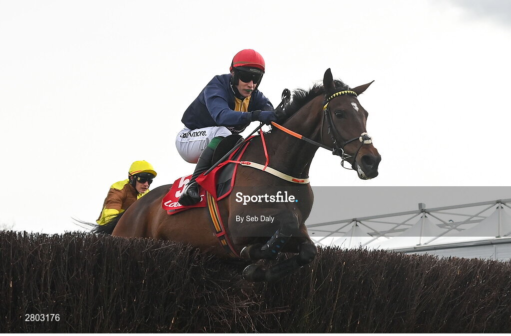 1 May 2024; Fastorslow, with JJ Slevin up, jumps the last on their way to winning the Ladbrokes Punchestown Gold Cup during day two of the Punchestown Festival at Punchestown Racecourse in Kildare. Photo by Seb Daly/Sportsfile