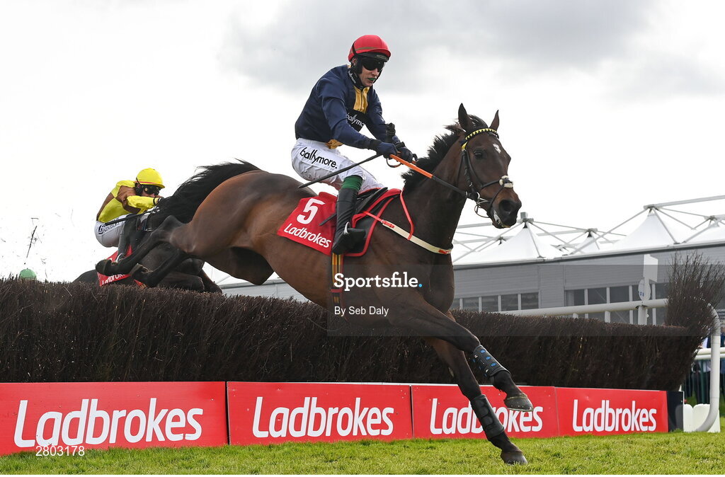 1 May 2024; Fastorslow, with JJ Slevin up, jumps the last on their way to winning the Ladbrokes Punchestown Gold Cup during day two of the Punchestown Festival at Punchestown Racecourse in Kildare. Photo by Seb Daly/Sportsfile