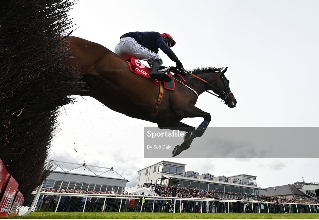 1 May 2024; Fastorslow, with JJ Slevin up, jumps the last on their way to winning the Ladbrokes Punchestown Gold Cup during day two of the Punchestown Festival at Punchestown Racecourse in Kildare. Photo by Seb Daly/Sportsfile