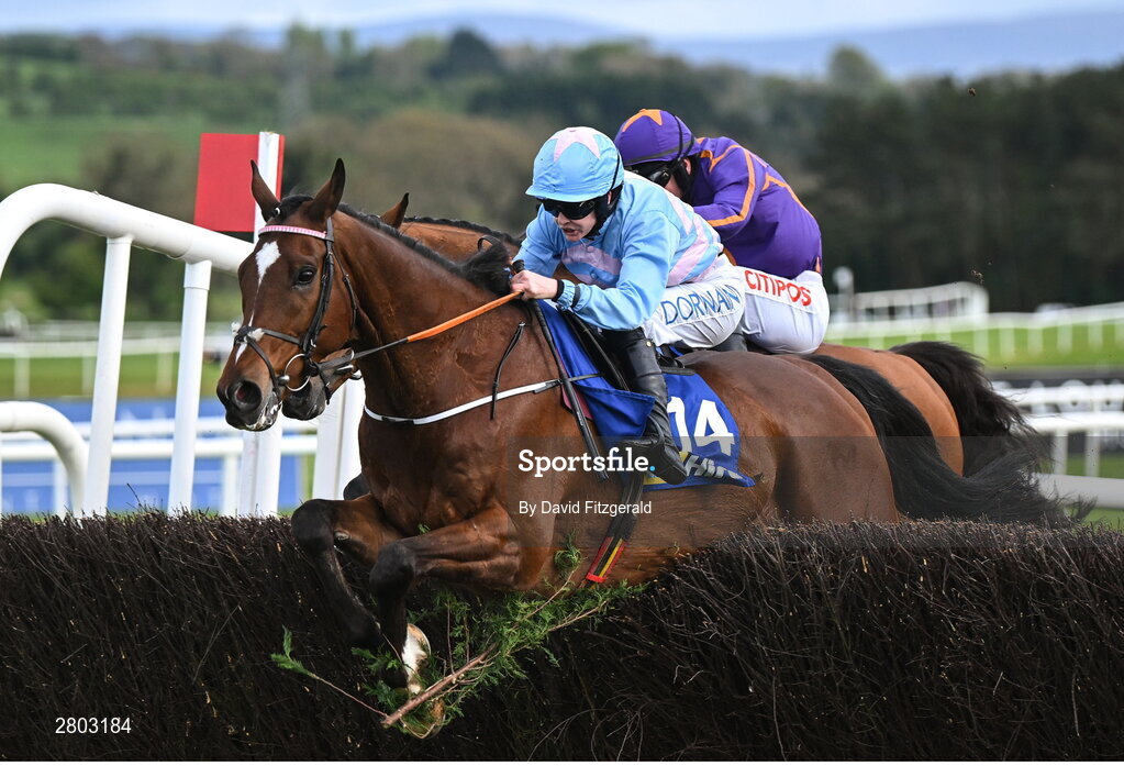1 May 2024; Lets Go Champ, with Rachael Blackmore up, jumps the last on their way to winning the HSS Hire Handicap Steeplechase during day two of the Punchestown Festival at Punchestown Racecourse in Kildare. Photo by David Fitzgerald/Sportsfile
