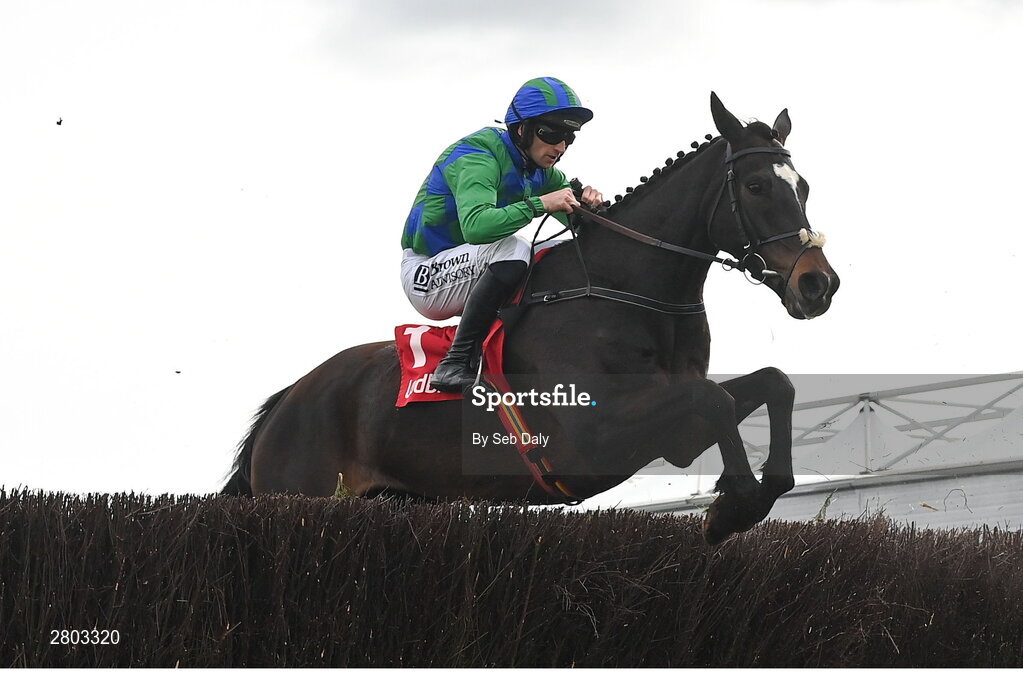 1 May 2024; Appreciate It, with Patrick Mullins up, during the Ladbrokes Punchestown Gold Cup during day two of the Punchestown Festival at Punchestown Racecourse in Kildare. Photo by Seb Daly/Sportsfile