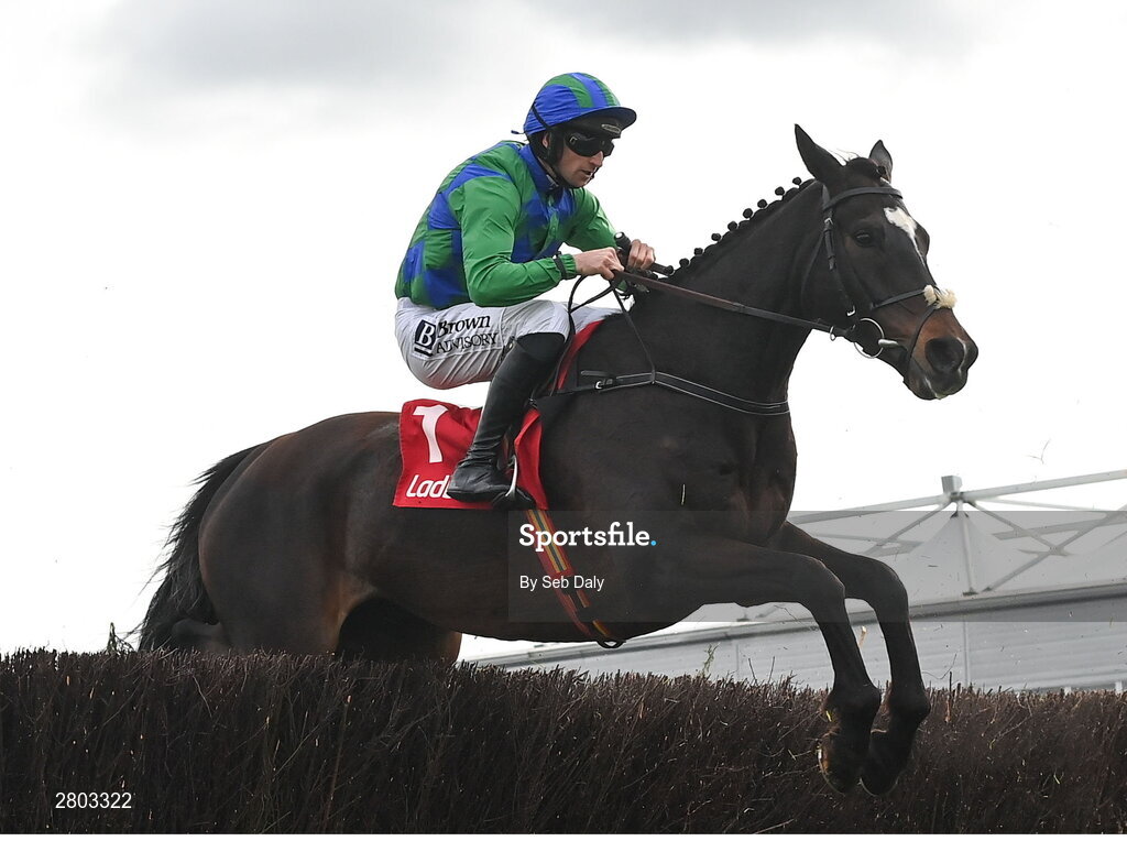 1 May 2024; Appreciate It, with Patrick Mullins up, during the Ladbrokes Punchestown Gold Cup during day two of the Punchestown Festival at Punchestown Racecourse in Kildare. Photo by Seb Daly/Sportsfile