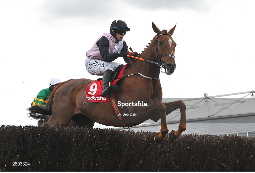 1 May 2024; Journey With Me, with Darragh O'Keeffe up, during the Ladbrokes Punchestown Gold Cup during day two of the Punchestown Festival at Punchestown Racecourse in Kildare. Photo by Seb Daly/Sportsfile