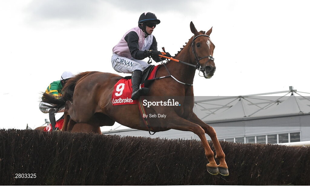 1 May 2024; Journey With Me, with Darragh O'Keeffe up, during the Ladbrokes Punchestown Gold Cup during day two of the Punchestown Festival at Punchestown Racecourse in Kildare. Photo by Seb Daly/Sportsfile