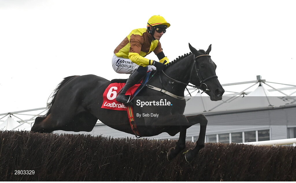 1 May 2024; Galopin Des Champs, with Paul Townend up, during the Ladbrokes Punchestown Gold Cup during day two of the Punchestown Festival at Punchestown Racecourse in Kildare. Photo by Seb Daly/Sportsfile