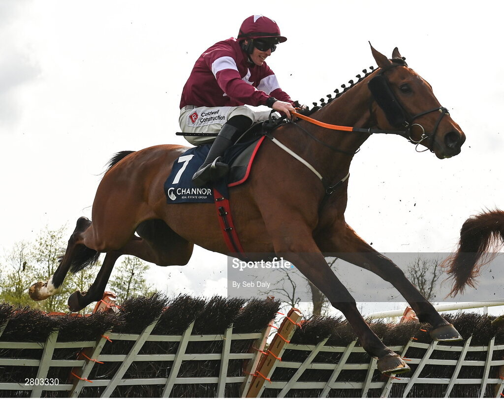 1 May 2024; Stellar Story, with Jack Kennedy up, during the Channor Real Estate Group Novice Hurdle during day two of the Punchestown Festival at Punchestown Racecourse in Kildare. Photo by Seb Daly/Sportsfile