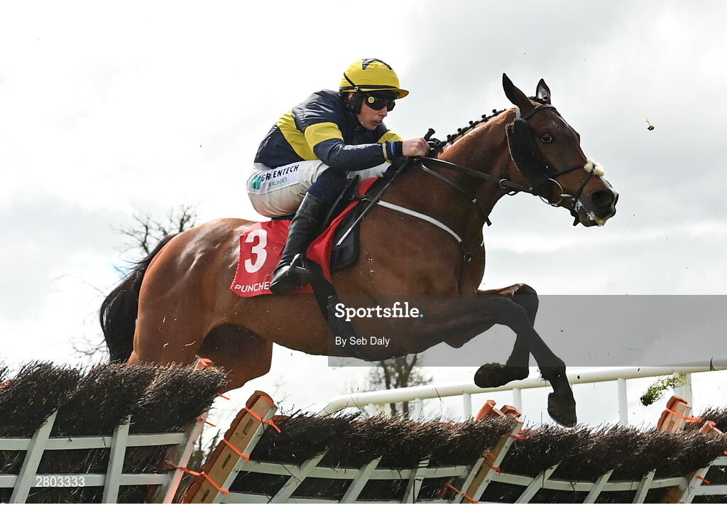 1 May 2024; Final Orders, with Conor Stone-Walsh up, during the Adare Manor Opportunity Series Final Handicap Hurdle during day two of the Punchestown Festival at Punchestown Racecourse in Kildare. Photo by Seb Daly/Sportsfile
