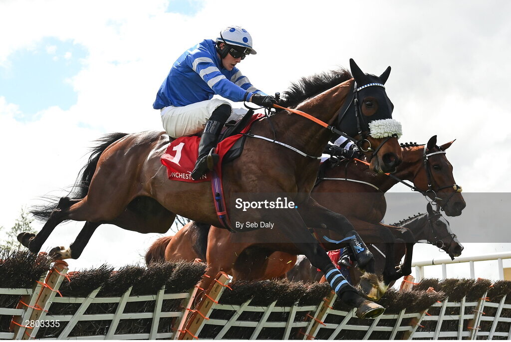 1 May 2024; Baltic Bird, with Oakley Brown up, during the Adare Manor Opportunity Series Final Handicap Hurdle during day two of the Punchestown Festival at Punchestown Racecourse in Kildare. Photo by Seb Daly/Sportsfile