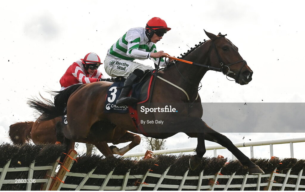1 May 2024; Better Days Ahead, with Danny Gilligan up, during the Channor Real Estate Group Novice Hurdle during day two of the Punchestown Festival at Punchestown Racecourse in Kildare. Photo by Seb Daly/Sportsfile